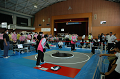 DSC_1192_thumb.png