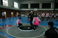 DSC_1193_thumb.png