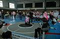 DSC_1195_thumb.png