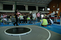 DSC_1226_thumb.png