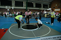 DSC_1237_thumb.png