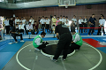 DSC_1310_thumb.png