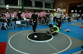 DSC_1333_thumb.png