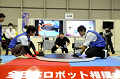 _DSC7216_thumb.png