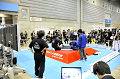 _DSC7331_thumb.png