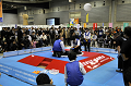 _DSC7432_thumb.png