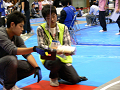 P1100157_thumb.png