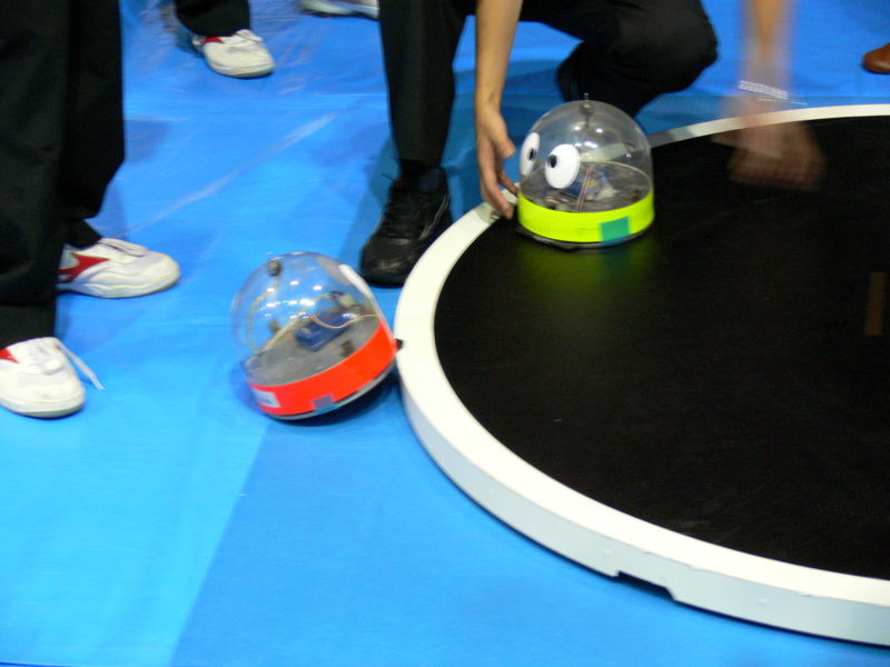 P1100215.jpg