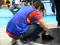 P1100285_thumb.png