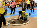 P1070256_thumb.png