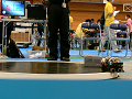 P1070565_thumb.png