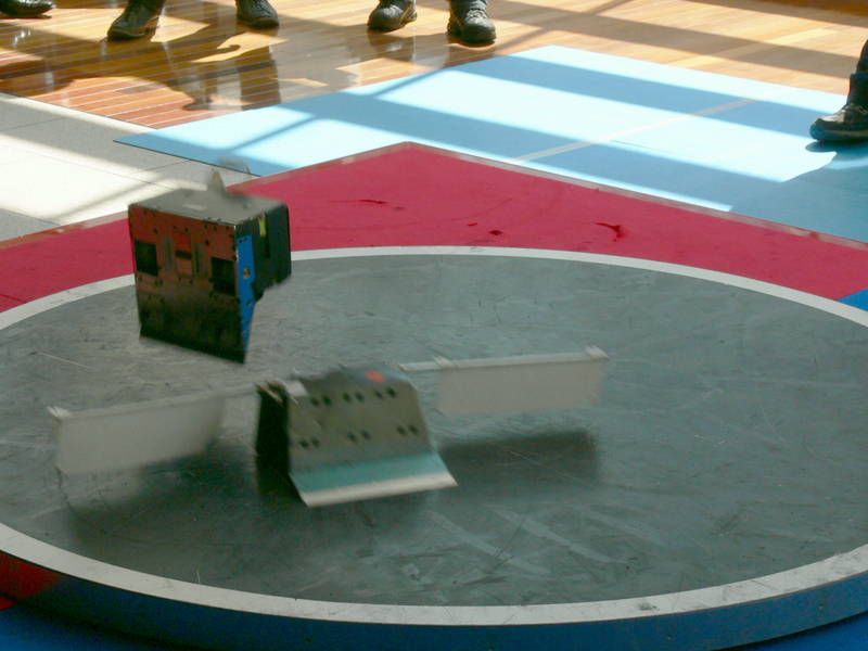 P1110430.jpg