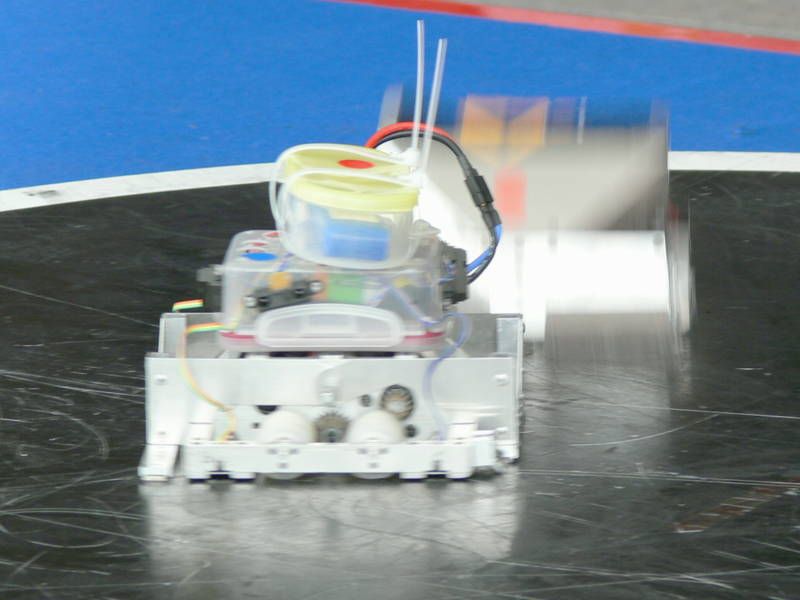 P1110439.jpg
