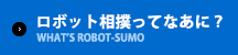 ロボット相撲ってなあに？