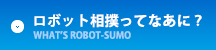 ロボット相撲ってなあに？